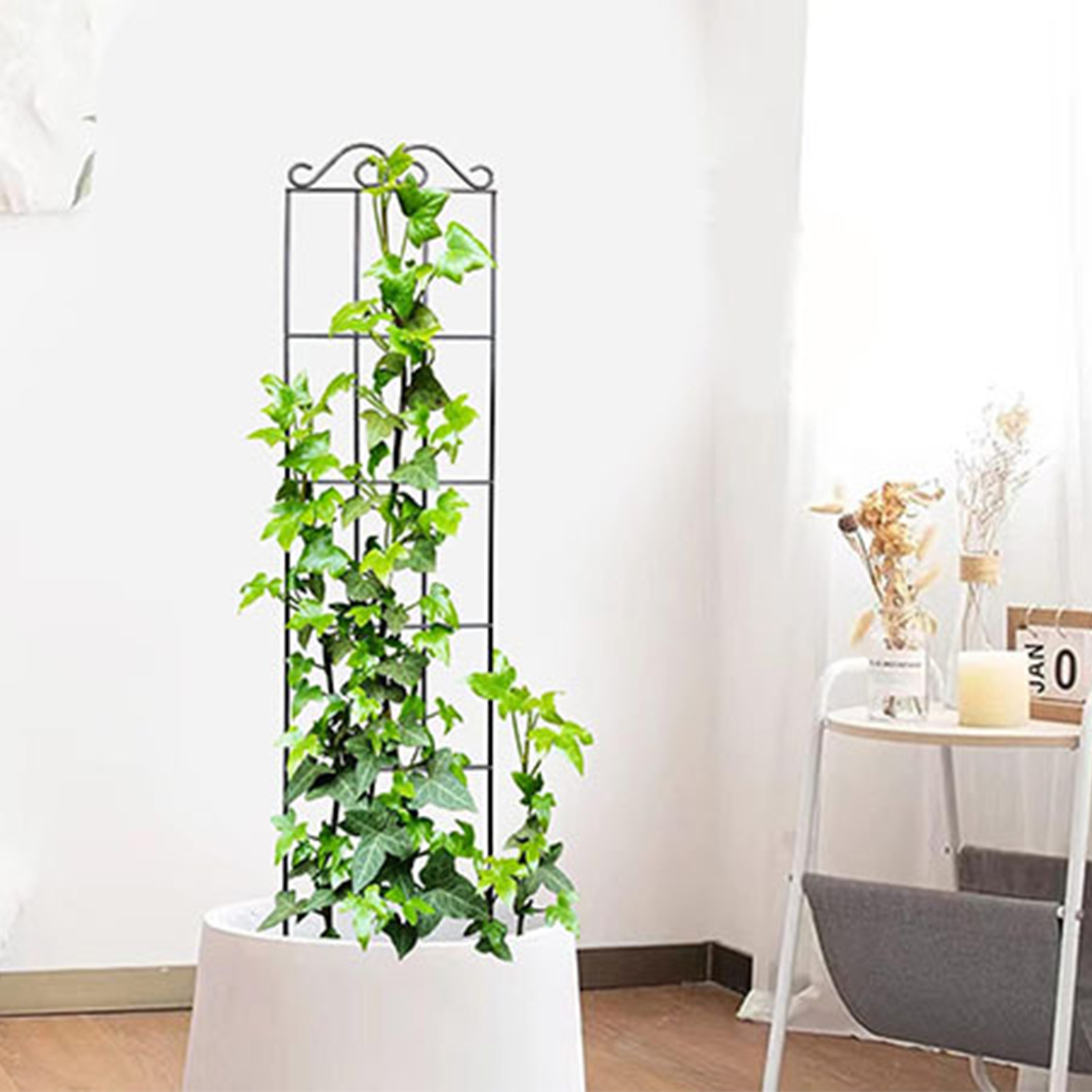 تعريشة حديقة متينة ، دعم ساق ن - مراجعة Florist Supply Bulk وسعره