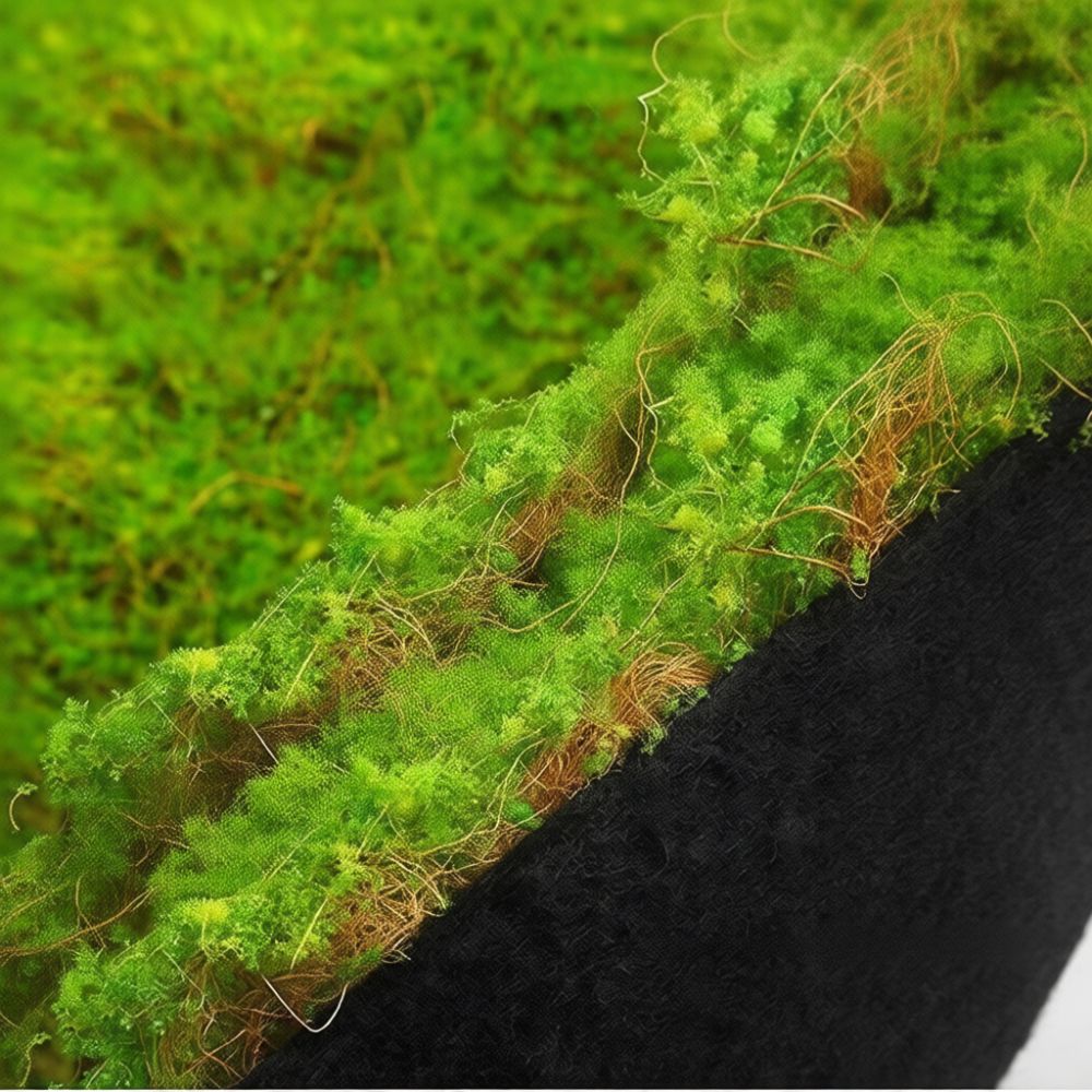 حصيرة عشب صناعي من الطحلب الصن - مراجعة Preserved Moss Sheet وسعره